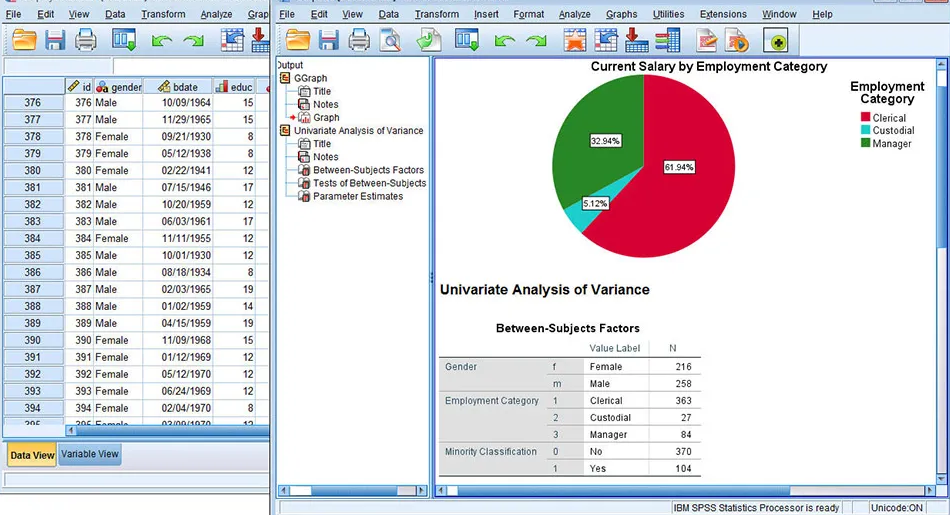 Взлом статистики IBM SPSS