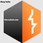 Burp Suite 2024 Crack